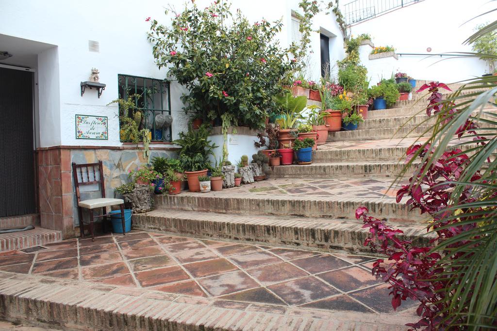 Casas Rurales Jardines Del Visir Genalguacil Zewnętrze zdjęcie