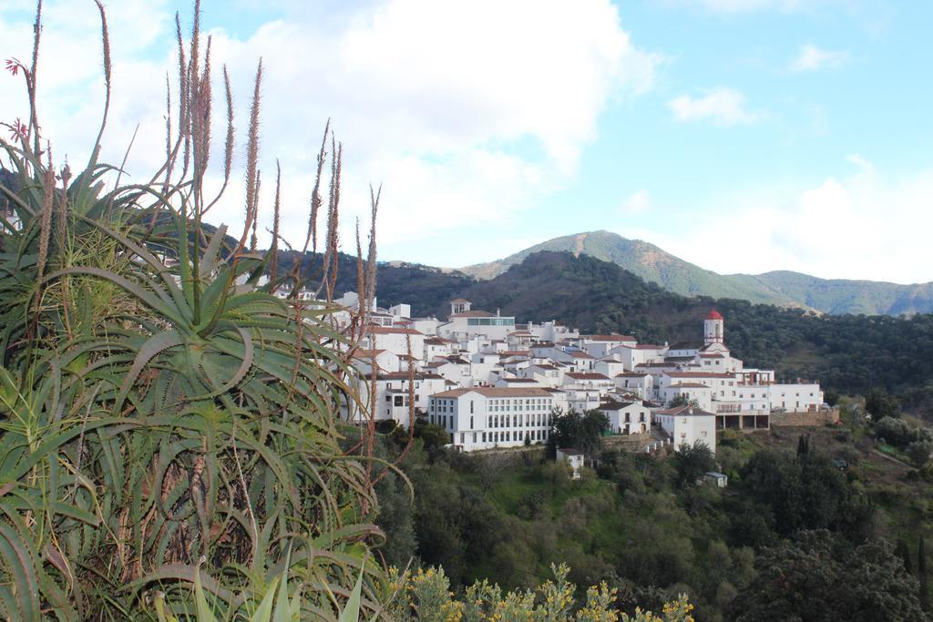 Casas Rurales Jardines Del Visir Genalguacil Zewnętrze zdjęcie