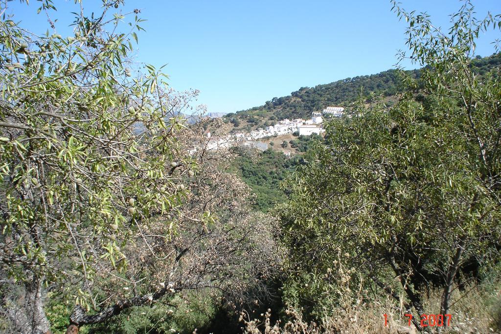 Casas Rurales Jardines Del Visir Genalguacil Zewnętrze zdjęcie