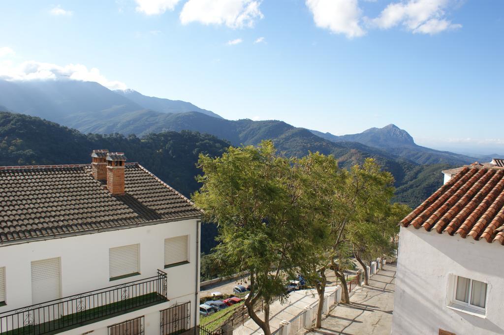 Casas Rurales Jardines Del Visir Genalguacil Zewnętrze zdjęcie